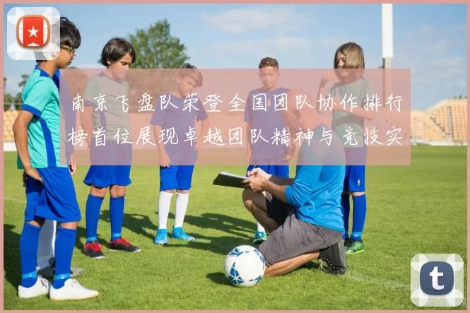 南京飞盘队荣登全国团队协作排行榜首位展现卓越团队精神与竞技实力