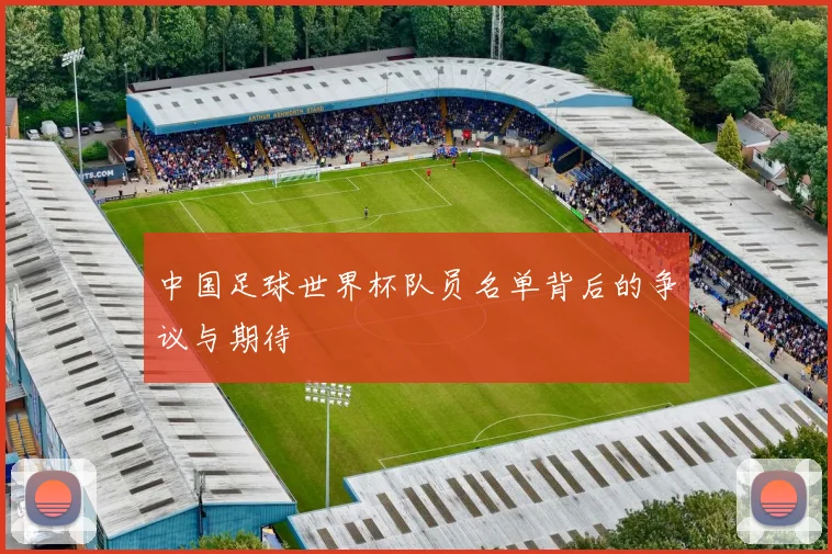中国足球世界杯队员名单背后的争议与期待