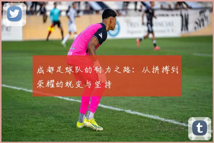 成都足球队的耐力之路:从拼搏到荣耀的蜕变与坚持