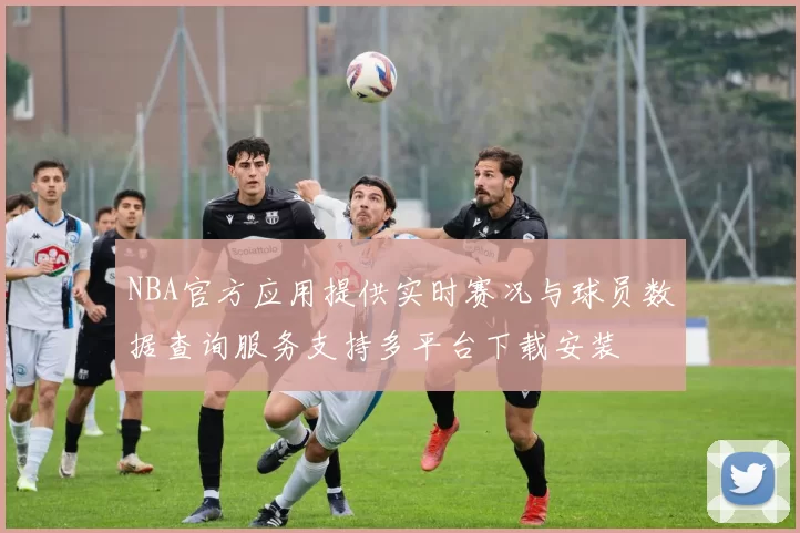 NBA官方应用提供实时赛况与球员数据查询服务支持多平台下载安装