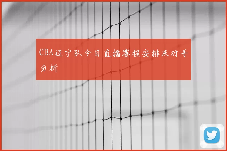 CBA辽宁队今日直播赛程安排及对手分析