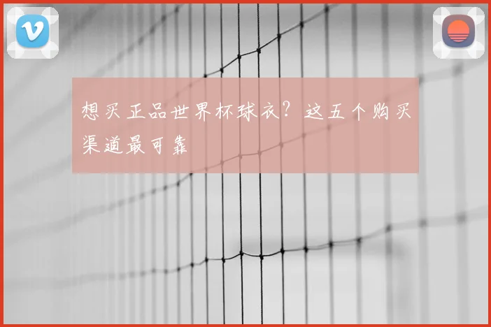 想买正品世界杯球衣？这五个购买渠道最可靠