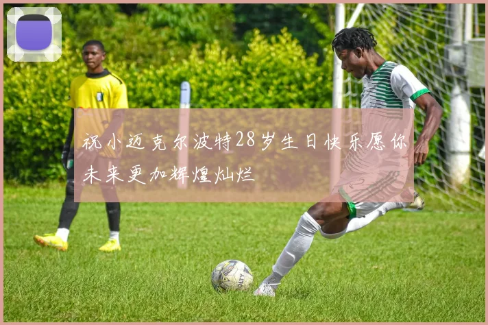 祝小迈克尔波特28岁生日快乐愿你未来更加辉煌灿烂
