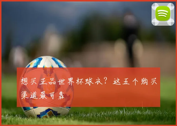想买正品世界杯球衣？这五个购买渠道最可靠