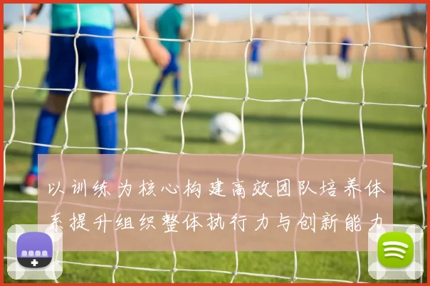 以训练为核心构建高效团队培养体系提升组织整体执行力与创新能力