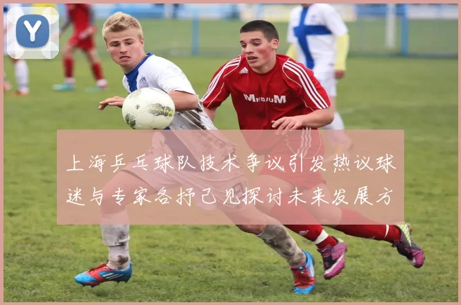 上海乒乓球队技术争议引发热议球迷与专家各抒己见探讨未来发展方向