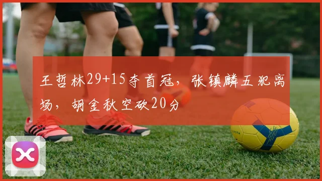 王哲林29+15夺首冠，张镇麟五犯离场，胡金秋空砍20分