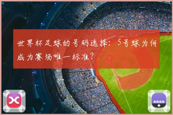 世界杯足球的号码选择:5号球为何成为赛场唯一标准?