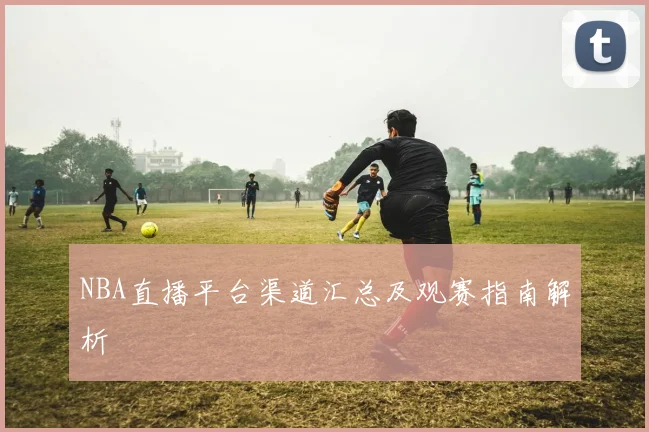 NBA直播平台渠道汇总及观赛指南解析