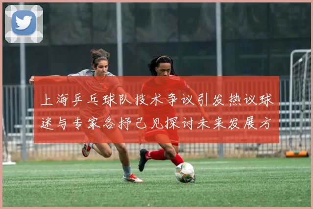 上海乒乓球队技术争议引发热议球迷与专家各抒己见探讨未来发展方向