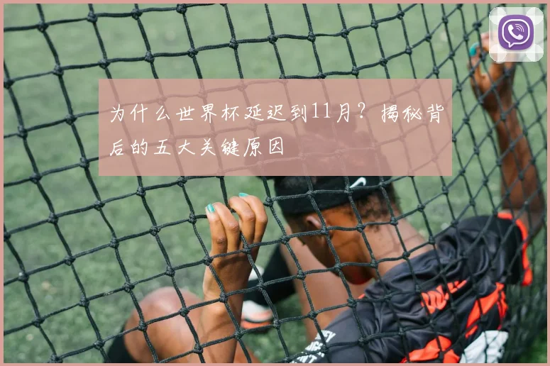 为什么世界杯延迟到11月？揭秘背后的五大关键原因