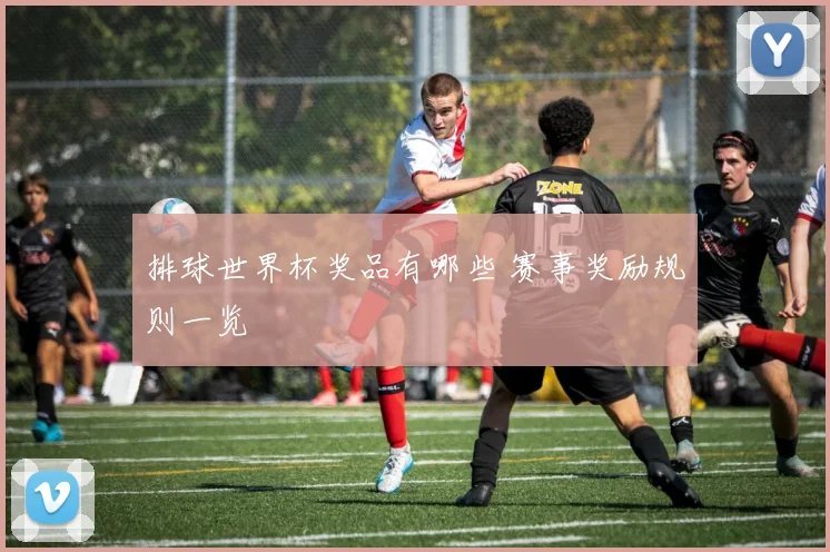 排球世界杯奖品有哪些 赛事奖励规则一览