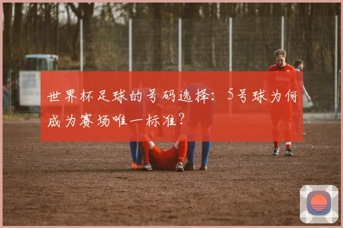 世界杯足球的号码选择:5号球为何成为赛场唯一标准?