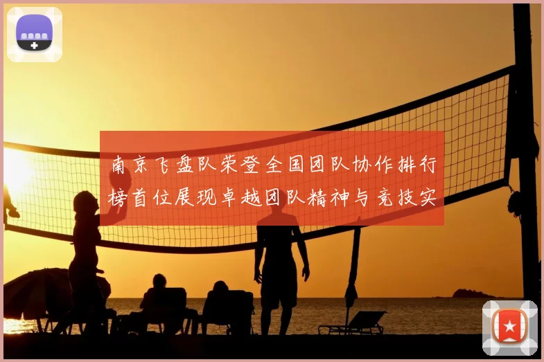 南京飞盘队荣登全国团队协作排行榜首位展现卓越团队精神与竞技实力