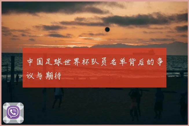 中国足球世界杯队员名单背后的争议与期待