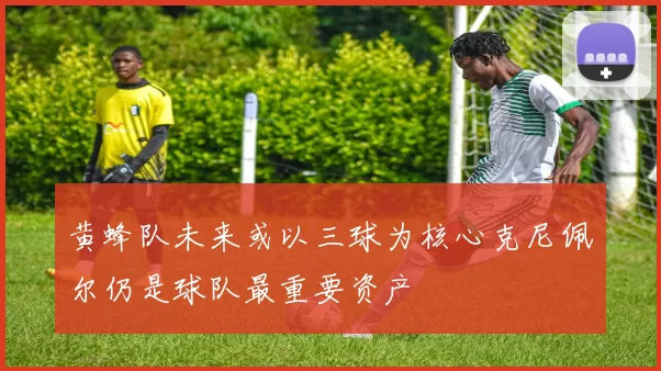 黄蜂队未来或以三球为核心克尼佩尔仍是球队最重要资产