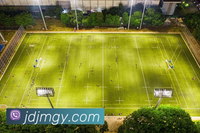 爱游戏官网平台生态图